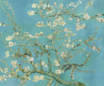 Blossom - Image 6