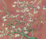 Blossom - Image 4