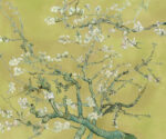 Blossom - Image 3