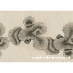 Abstract Sepia Coral Mural: Tropical Underwater Removable Wallpaper for Stylish Home Decor - Image 2