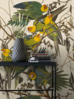 Carolina Parrot Wallpaper: Audubon Bird Print,  Mural