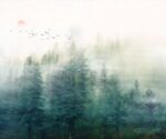 Forest Landscape Wallpaper - Image 4