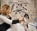 Grooming Salon Decor, Dog  Sticker