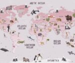 Kids world map wallpaper featuring animals from different continents, soft pink educational wall mural for children’s room and nursery decor