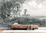 Palm Tree Swamp Wallpaper Mural -  - Eco Friendly - Image 2