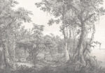 Wall mural Drawing of a forest - Image 5