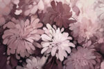 Wall mural Elegant floral composition in soft hues - Image 2