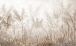Wall mural Wall mural Tall grasses sway in morning light - Image 2