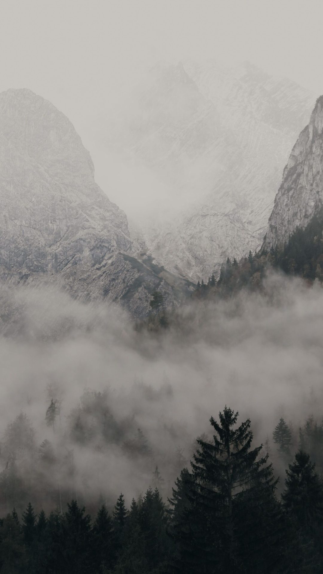 pexels-lucadross-3884725